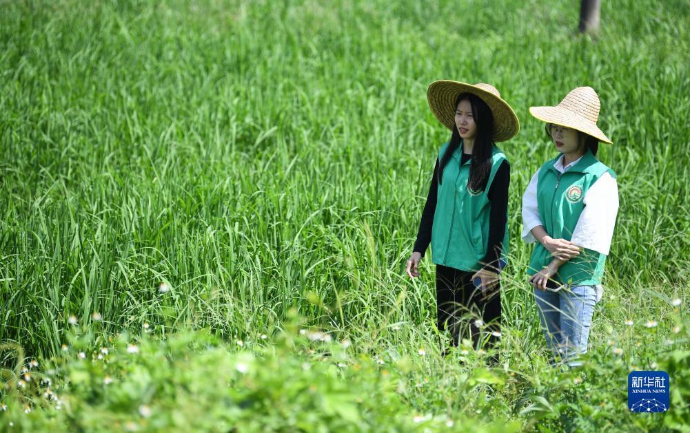 宝马游戏平台